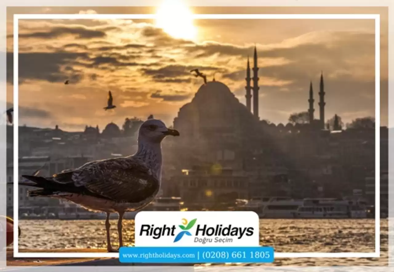 Türkiye'nin En İyi 10 Seyahat Noktası